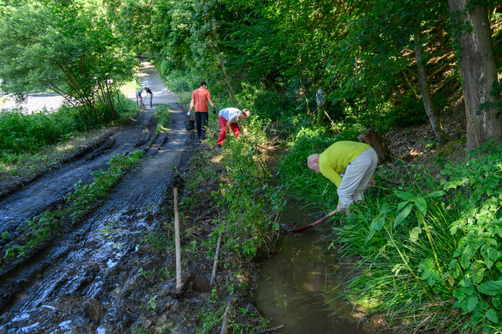 Wegebauaktion Juni 2024